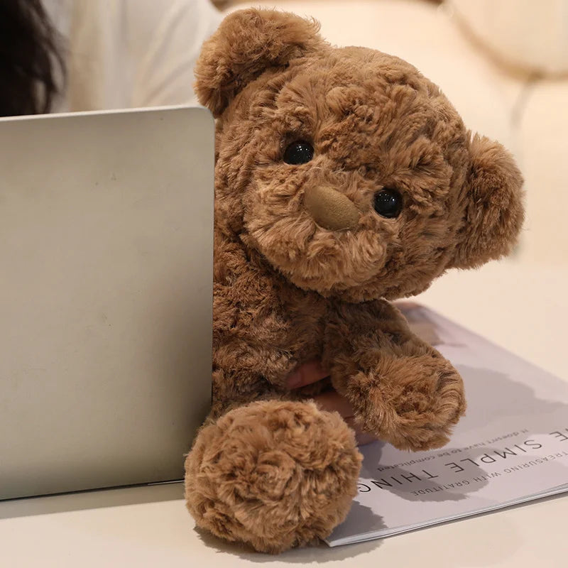 Teddybär Dunkelbraun
