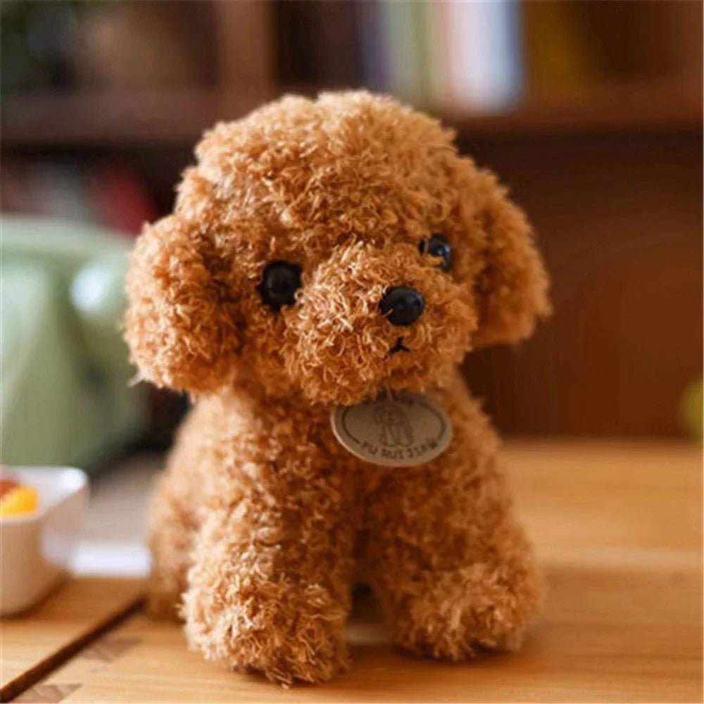 Teddybär Hund Klein