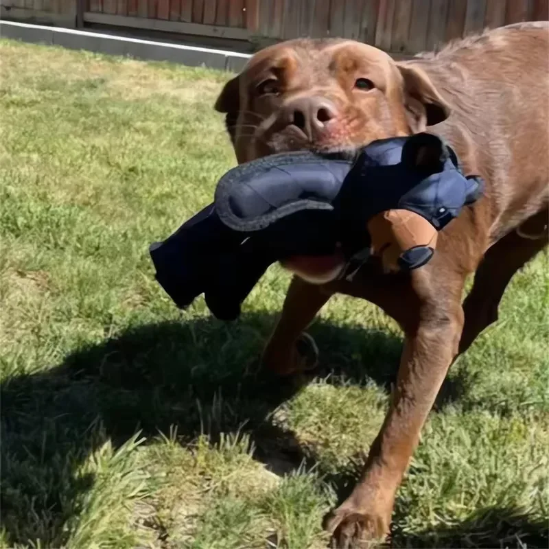 Kuscheltier Für Hunde Unkaputtbar 2