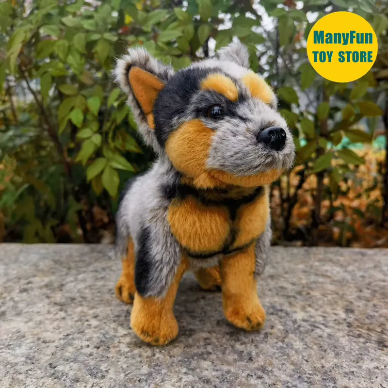Australian Cattle Dog Plush 2