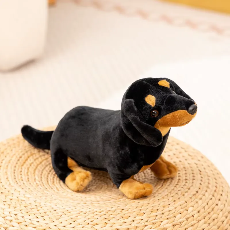 Wiener Dog Plush 4