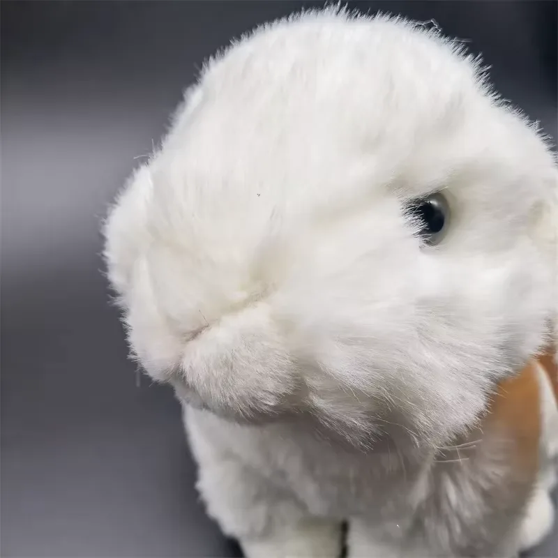 Kuscheltier Hase Weiß 5