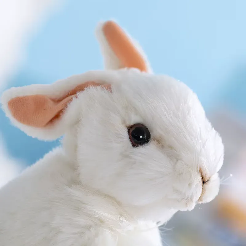 Plüschtier Hase Weiß 2