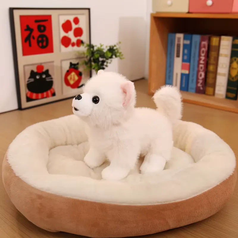 Pomeranian Plush Dog 4