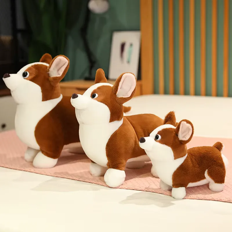 Corgi Dog Plush 4