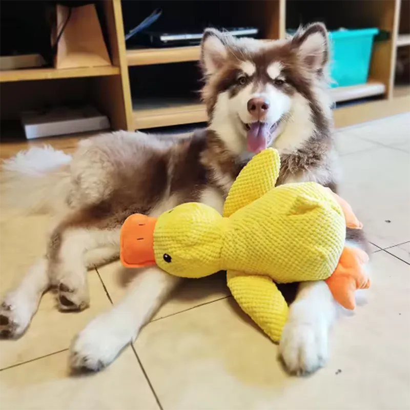 Ente Kuscheltier Hund 3