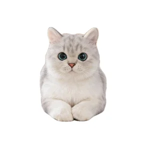 Kuscheltier Katze Britisch Kurzhaar