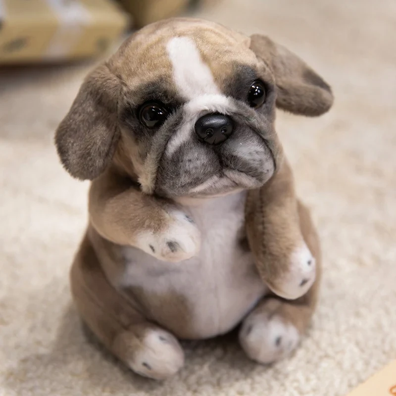 Plush Pug Dog