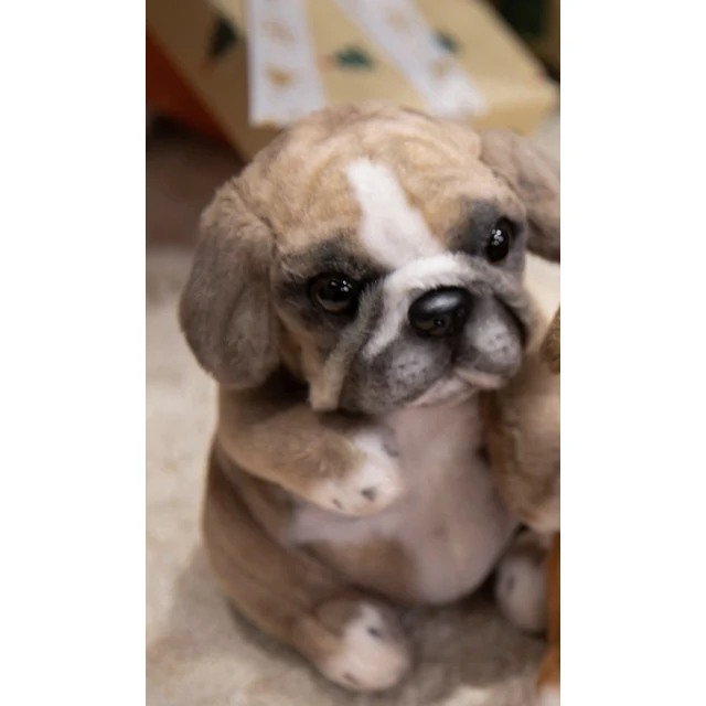 Plush Pug Dog