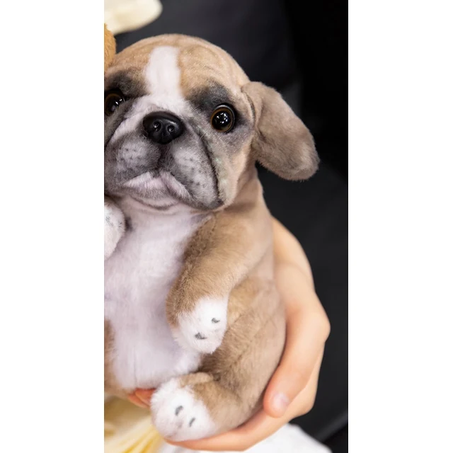 Plush Pug Dog