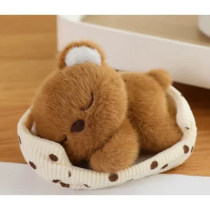 Teddybär Schlafend